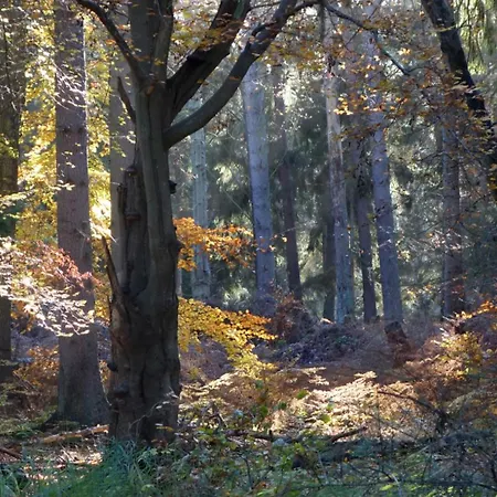 度假居 Haus An Der Eiche 维克