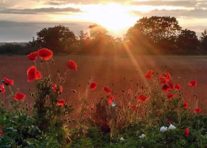 別荘 Haus An Der Eiche *