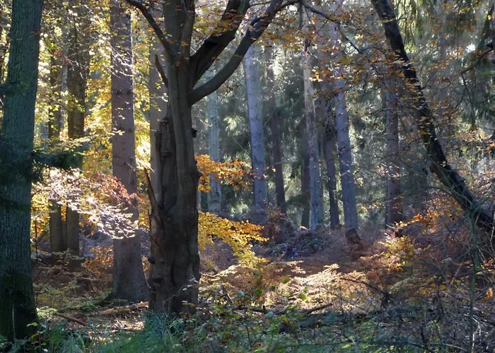 別荘 Haus An Der Eiche ヴィーク